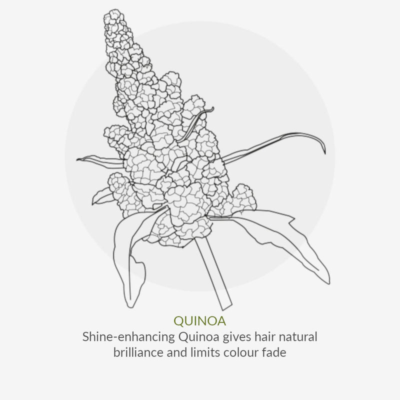 [Australia] - Green People Quinoa & Avocado Hair Serum 100ml | Natural & Organic Styling Gel for Volume & Light Hold | All Hair Types | Silicone Free, Ethyl Alcohol Free & SLS Free Hair Care | Cruelty Free & Vegan 