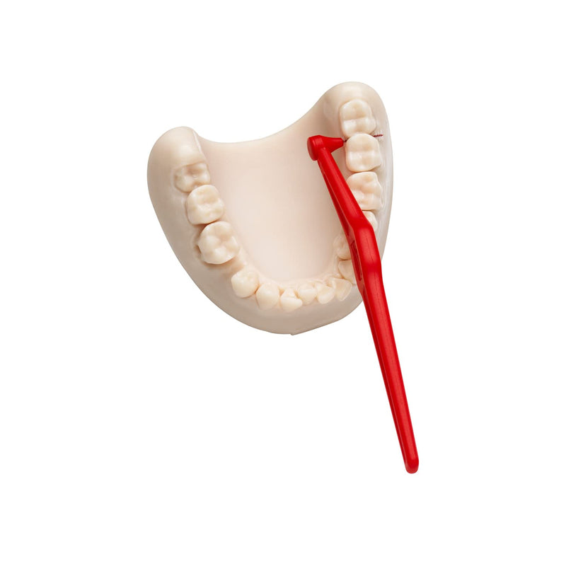[Australia] - Tepe Angled 0.5mm Red Interdental Brushes - Pack of 6 6 count (Pack of 1) 