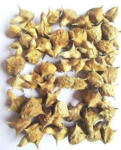 [Australia] - Certified Tribulus Terrestris Powder /Gokhru Powder Whole Plant Used (Tribulus Terrestris Powder/Gokhru Powder, 100g) 100 g (Pack of 1) 
