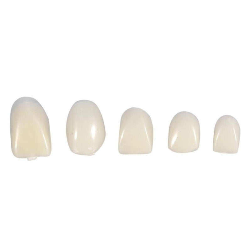 [Australia] - Temporary Crown, Fake Teeth, 50Pcs/Box for Oral Care(Front teeth) 