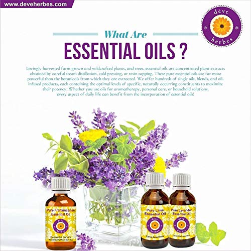 [Australia] - Deve Herbes Pure Palmarosa Essential Oil (Cymbopogon martinii) Premium Therapeutic Grade for Hair, Skin & Aromatherapy 30ml (1.01 oz) 