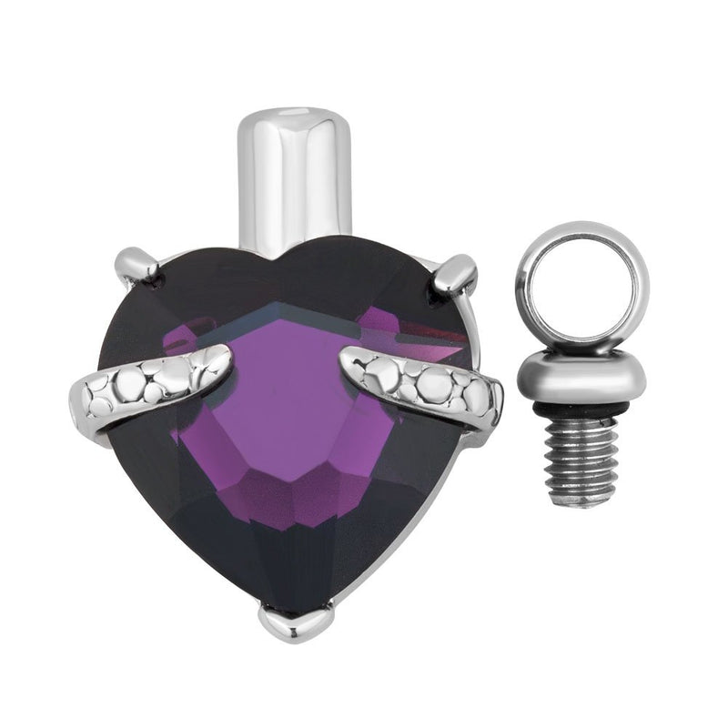 [Australia] - Charmed Craft Big Birthstone Love Heart Urn Necklaces Memorial Cremation Ashes Ash Holder Keepsake Stainless Steel Funnel Feb-Purple 