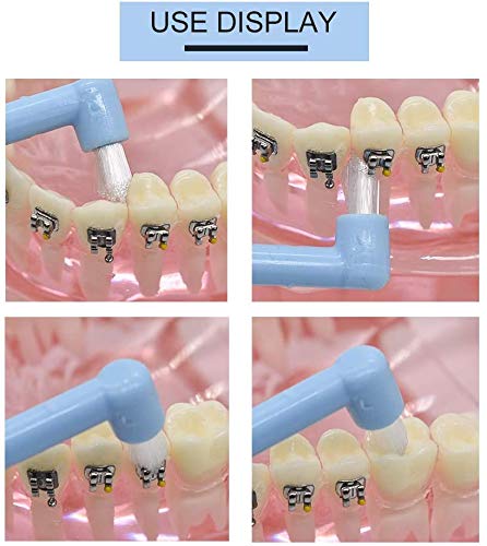 [Australia] - Chargenyang 6 PCS Interspace Toothbrush for Teeth Detail Cleaning and Braces Clean Soft and Compact Trim Tooth Toothbrush Rose Red, Blue, White 