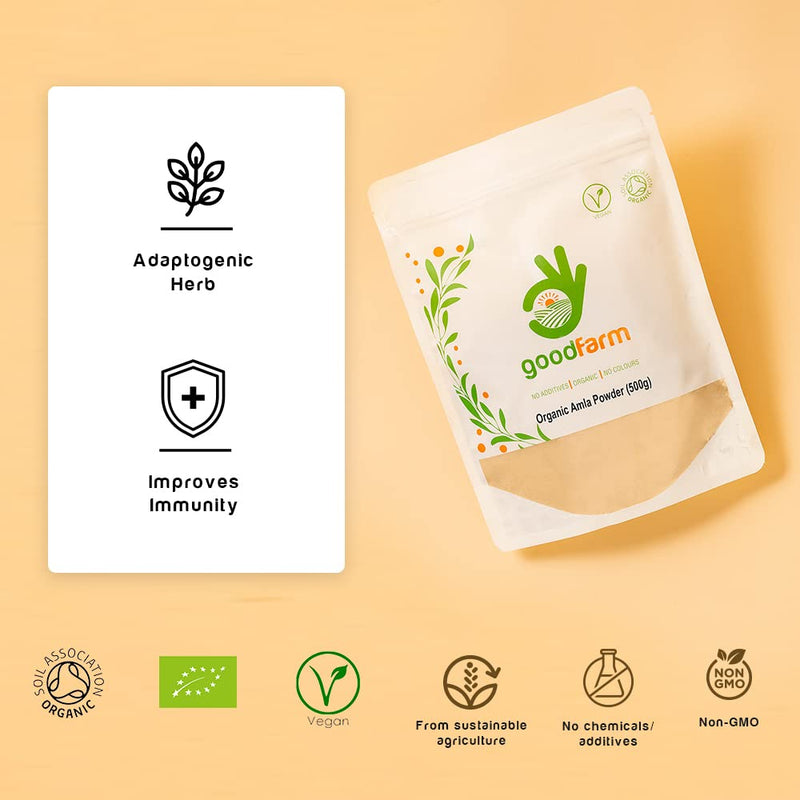 [Australia] - GoodFarm Organic Amla Powder 500g - Premium Quality, Certified Organic | Superfood | Natural body Boost | Vegan | Ayurveda Amla 500 gr 
