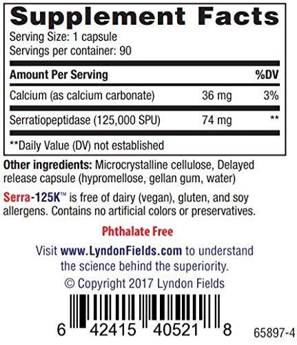 [Australia] - New Serra-125k Serrapeptase Enzyme 125,000 SPU Per Capsule - 90 High Potency Delayed Release Caps, Up to 6X More Potent Than Other Serrapaptase - Extra Strength Non-GMO, Gluten Free, Vegan 90 Count (Pack of 1) 