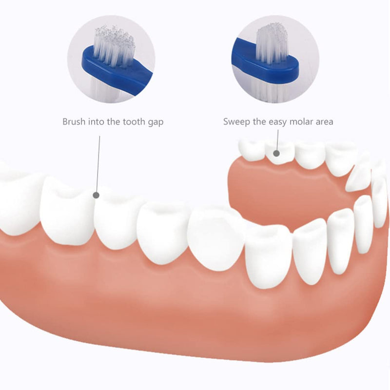 [Australia] - Healeved Denture Brush Dual Head 3pcs Small Hard Denture Cleaner Toothbrush False Teeth Cleaning Brush for Denture Care 