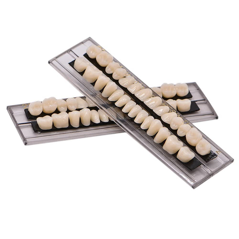 [Australia] - MIBICIRI 112PCS False Teeth, 4Set Dental Acrylic Resin Denture Tooth for Teaching Tools DIY Props Costume Party Ornament Supplies False Tooth for Halloween Horror Prop (23,A2) 