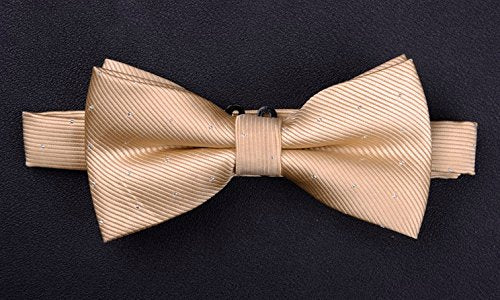 [Australia] - Flairs New York Gentleman's Essentials Neck Tie, Bow Tie and Pocket Square Matching Set Regular Bow Tie & Pocket Square Set Champagne Gold [Glitter Dot Print] 