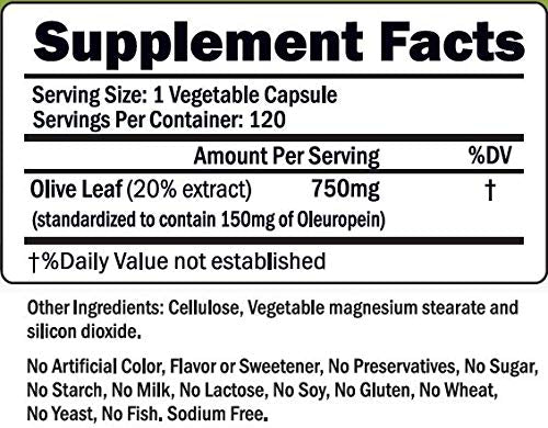 [Australia] - Olive Leaf Extract - 750 Mg - 120 Capsules - Extra Strength - 20% Oleuropein - Non-GMO Formula - Premium Quality From Pure Olive Leaves - Powerful Antioxidant - Great for Heart, Skin and Immune System 