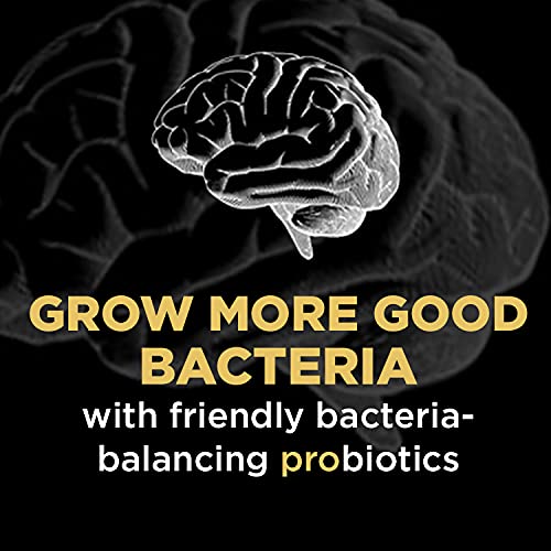 [Australia] - Dr. Emil Nutrition Total Gut Health Complex - Prebiotic + Probiotic + Postbiotic Gut Health Supplements for Women and Men - Probiotics for Digestive Health & Gut Health, 60 Capsules 