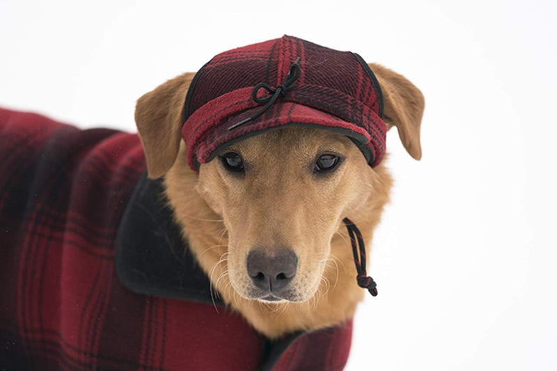 [Australia] - Stormy Kromer Critter Kromer Cap - Decorative Wool Pet Hat Small Blaze Orange 