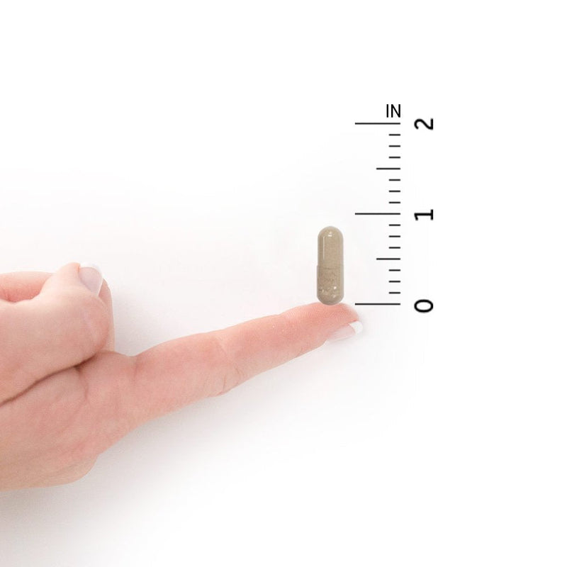 [Australia] - Garden of Life Vitamin Code Iron Supplement, Healthy Blood - 60 Vegan Capsules, 28g Iron, Vitamins B, C, Trace Minerals, Fruit Veggies, Probiotics - Iron Supplements for Women Energy, Anemia Support 