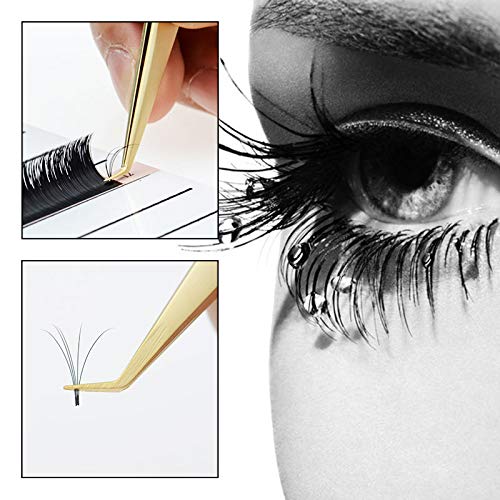 [Australia] - Tvoip 2 Pcs Gold Stainless Steel Tweezers for Eyelash Extensions, Straight and Curved Tip Tweezers Nippers, False Lash Application Tools 
