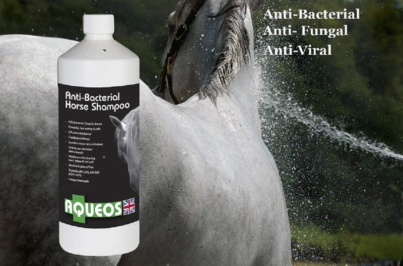 [Australia] - Aqueos Horse Shampoo | Anti-Bacterial / Anti-Fungal / Anti-Viral / Anti-Itch | 1 Litre Soothes, Relieves Itching, Skin Conditions Gentle on Skin 1 l (Pack of 1) 