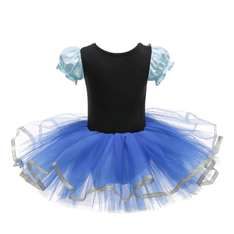 [Australia] - Dressy Daisy Princess Ballet Leotards Tutu Dress for Toddler Girls Ballerina Outfits Dance Costume Dancewear with Tulle Skirt Anna 2-3T 