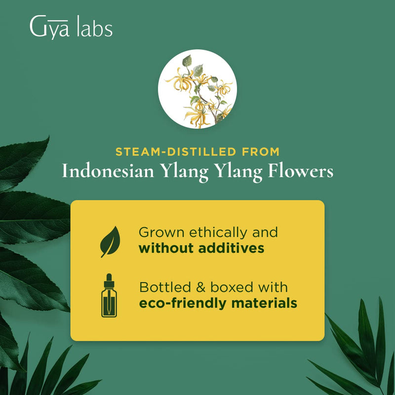 [Australia] - Gya Labs Organic Ylang Ylang Essential Oil (10ml) - Sweet, Floral & Uplifting Scent 10 ml (Pack of 1) 