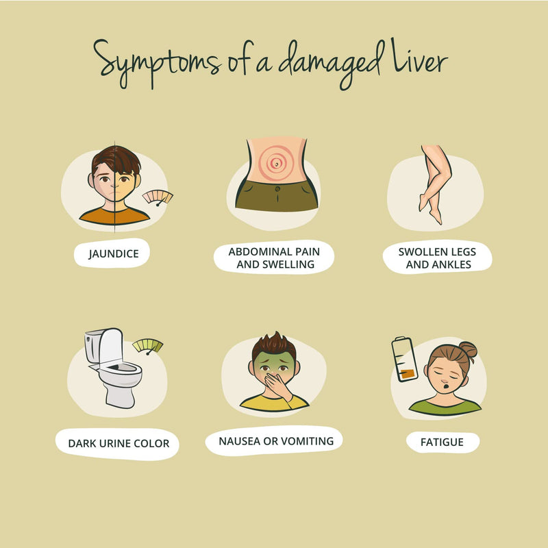 [Australia] - Liver Support Vegavero® | with Artichoke, Tumeric, Chicory & Choline | Natural Cleanse & Detox | NO Additives | 90 Vegan Capsules 