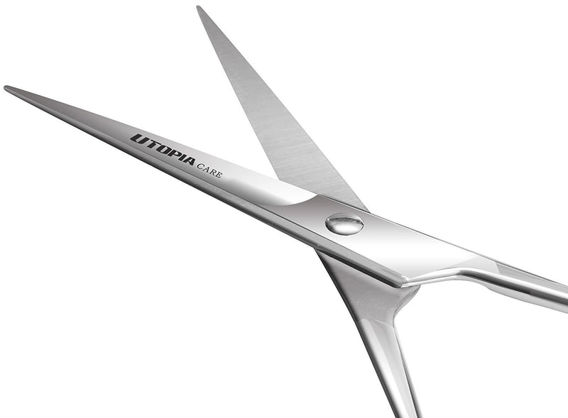 [Australia] - Professional Barber Hair Cutting Scissors/Shears - Silver (Matte) Matte 