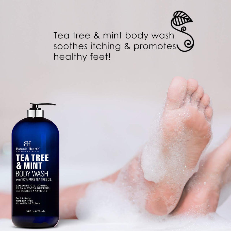 [Australia] - BOTANIC HEARTH Tea Tree Oil Body Wash with Mint - Paraben Free, Helps Fight Body Odor, Athlete's Foot, Jock Itch, Skin Irritations - Shower Gel Soap - Women & Men - (Packaging May Vary) 16 fl oz 