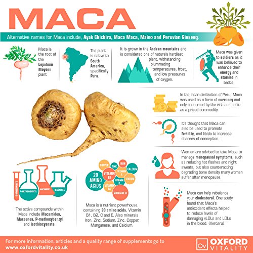 [Australia] - Maca Root Tablets | 1250mg Supplement | Energy, Libido, Fertility & Vitality | Oxford Vitality 120 Count (Pack of 1) 