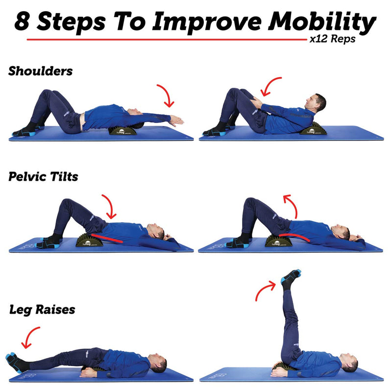 [Australia] - BackBaller.com Rolling Evolved The Hog - Pilates Hedgehog Training/Back Stretcher/Abdominal Trainer/AB Mat 