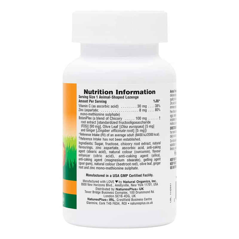 [Australia] - NaturesPlus Animal Parade Kid Zinc Lozenges - Tasty Tangerine Zinc and Vitamin C, Ginger, Olive leaf - Vision, Cognitive, Immune Support - Vegan, Gluten Free - 90 ChewableTablets 