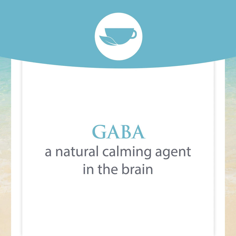 [Australia] - Stress-Relax Pharma GABA 100 mg by Natural Factors, Non-Drowsy Stress Support for Relaxation and Mental Focus, 60 Vegetarian Capsules (30 Servings) Standard Packaging 