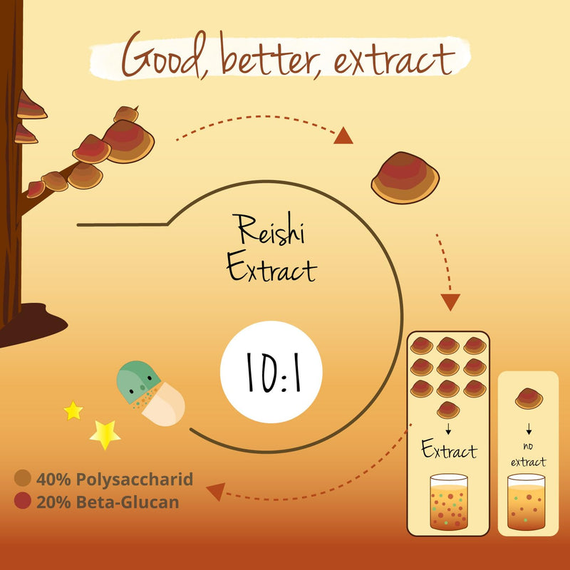 [Australia] - Reishi Mushroom Extract Vegavero� | 13.000mg (10:1) Ganoderma Lucidum | 120 Reishi Mushroom Capsules | 40% Polysaccharides & 20% Beta Glucans | NO Additives | Vegan 