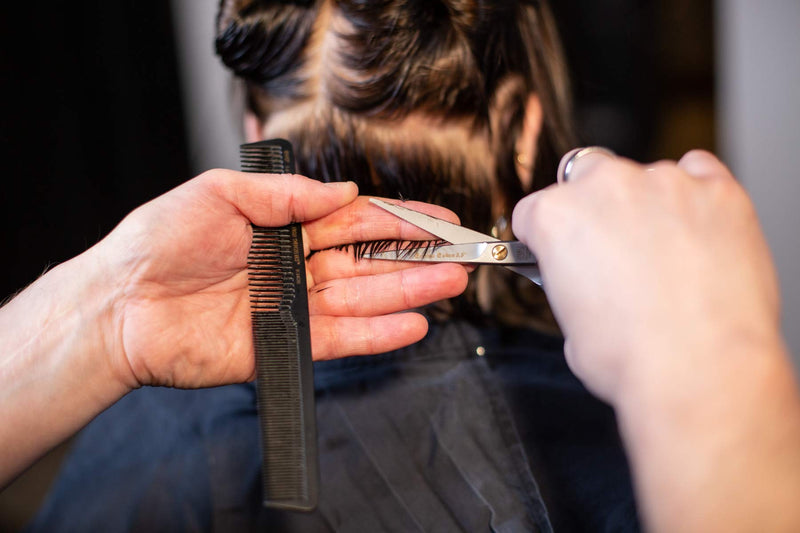 [Australia] - Cerena Cobra 5.5 Scissors 