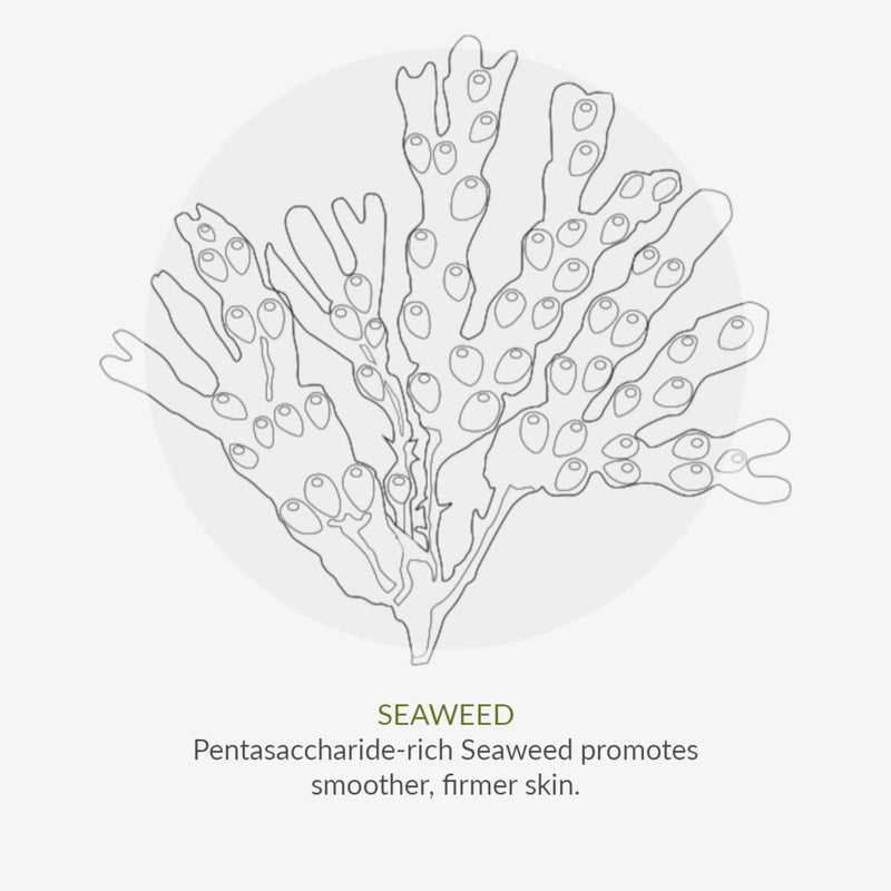 [Australia] - Green People for Men No.2 Soothing Shaving Gel 100ml | Natural & Organic Men’s 2-in-1 Shaving Gel & Face Wash | Gentle on Sensitive Skin | SLS Free, Paraben Free & Ethanol Free | Cruelty Free & Vegan 