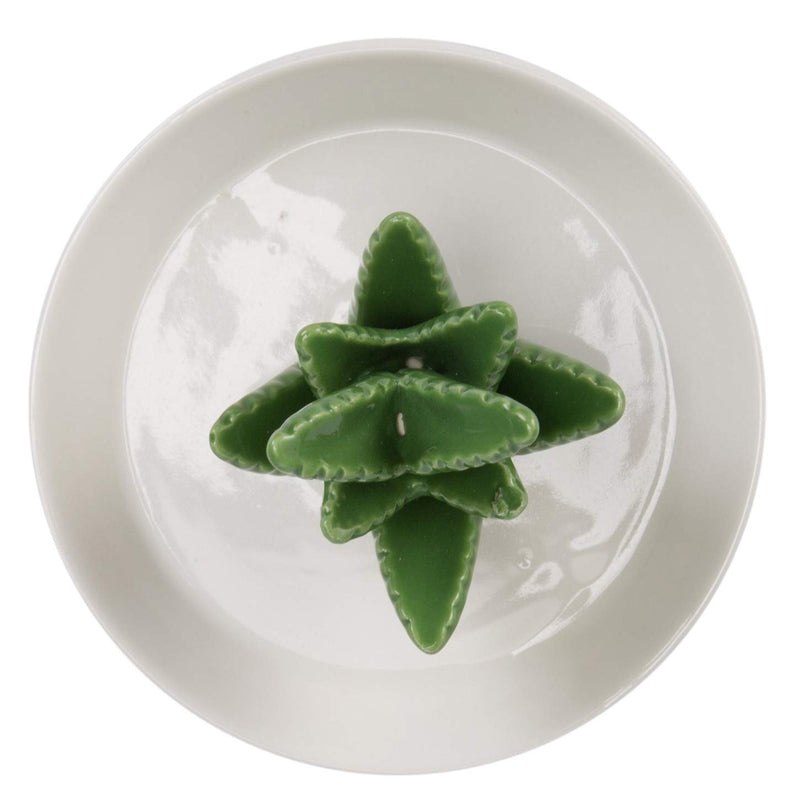 [Australia] - HOME SMILE Ceramic Aloe Ring Holder with Derorative White Dish Dish for Jewelry,Christmas Birthday Gifts 