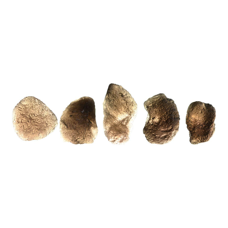 [Australia] - Starborn Pearl of Fire 10-15g Cintamani Stone Pseudotektite 