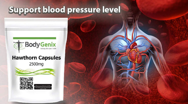 [Australia] - Hawthorn Capsules 2500mg Bodygenix Blood Circulation, Heart Support Supplement (120) 120 