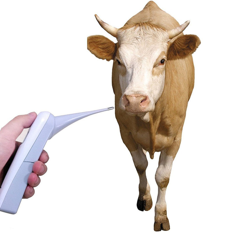 [Australia] - Animal Electronic Ehermometer Pet Thermometer Digital Thermometer is a Fast Rectal Thermometer for Dogs,Horse, Cats, Pigs,Sheep 