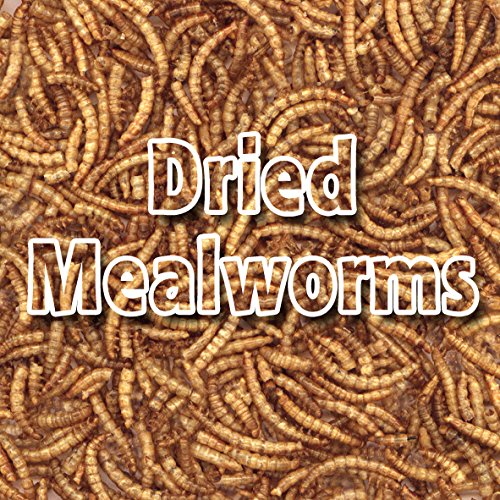 [Australia] - Supa Dried Mealworms for Wild Birds, 3 Litre Bucket, High Energy Protein Rich Treat For Garden Birds, Attract More Birds To Your Garden, Quality Wild Bird Food. 1 3 l (Pack of 1) 