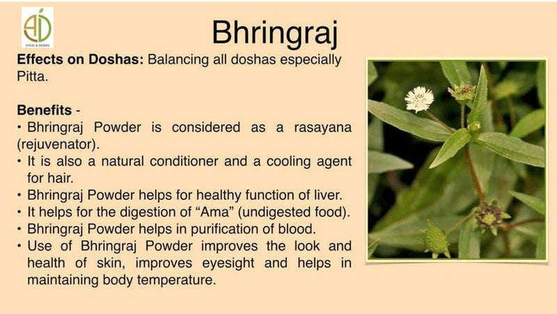 [Australia] - Herbs Botanica 100% Natural Bhringraj Powder | Pure Bhringaraj Eclipta Alba - Promotes Healthy Hair Growth (150 gm (0.33 lb) 5.3 Oz Bringraj Powder For Hair Growth Ayurvedic Powder 