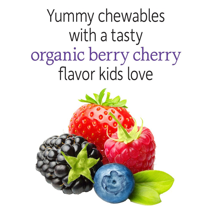 [Australia] - Garden of Life Dr. Formulated Probiotics Organic Kids+ Plus Vitamin C & D - Berry Cherry - Gluten, Dairy & Soy Free Immune & Digestive Health Supplement, No Added Sugar, 30 Chewables (Shelf Stable) 