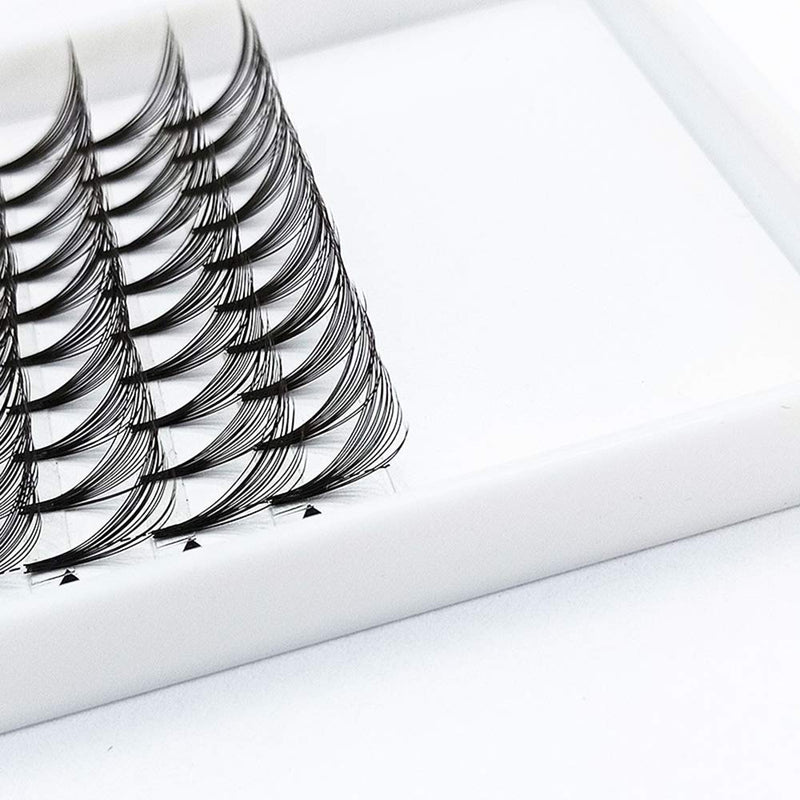 [Australia] - Hannahool Pro Grafting Thickness 0.07mm 16D Individual False Eyelashes Cluster C Curl Soft and Light Weight Dramatic Volume Fans Eye lashes Extensions 8-16mm Available (14MM) 14MM 