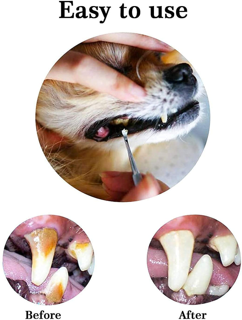 [Australia] - Dog Dental Tooth Tool,3 PCS Stainless Steel Dentist Teeth Cleaning Probe Tooth Scaler Scraper Double Headed Tarter Remover Scraper Pick Calculus Plaque Remover Repair 