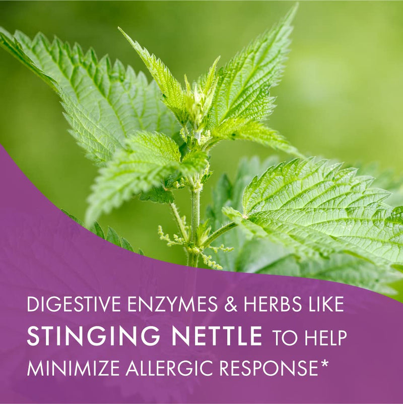 [Australia] - AllerFree Natural Allergy Support Supplement by Pure Essence Labs - Non Drowsy Pills for Sinus and Nasal Health Seasonal Allergies with Enzymes and Herbs - 60 Capsules 