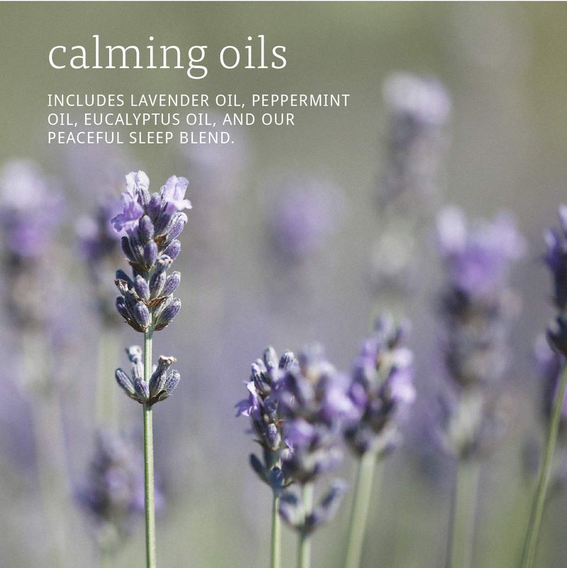 [Australia] - NOW Essential Oils, Let There Be Peace & Quiet Aromatherapy Kit, 4x 10ml Including Lavender Oil, Peppermint Oil, Eucalyptus Oil and Peaceful Sleep Oil Blend With Child Resistant Caps 