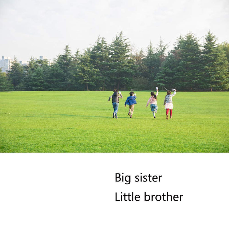 [Australia] - FEELMEM Big Sister Little Brother Sibling Matching Keyring Set Family Jewelry big sister+little brother 