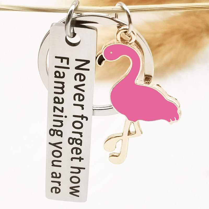 [Australia] - Motivational Flamingo Keychain Never Forget How Flamazing You are, Round Key Ring Chain Premium Key Organizer Flamingo Lover BFF Animal Lovers Gift for Women Girls 