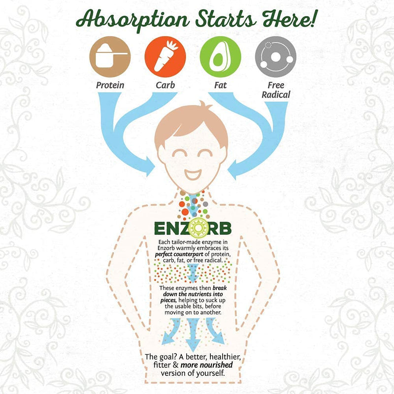 [Australia] - Digestive Enzymes Probiotic | Plant Based & Vegan with Spore Based Probiotic Essential Supplements to Support Optimal Health for Men & Women Digestive Enzyme Supplements | Enzorb by Sunwarrior 