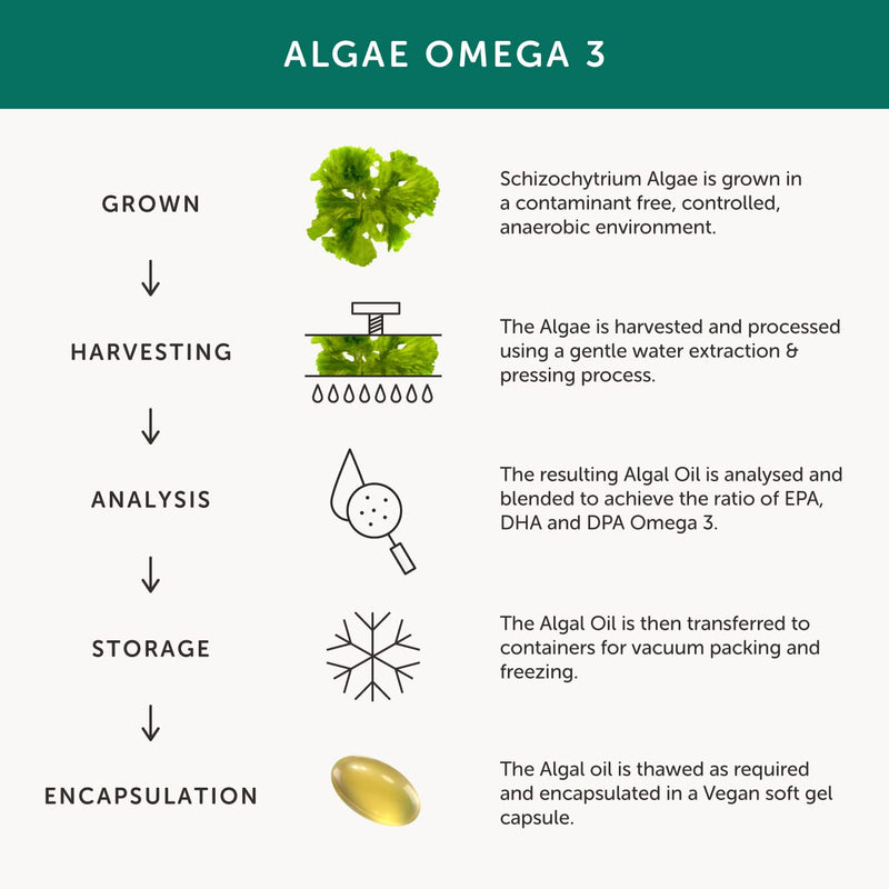 [Australia] - Algae Omega 3 � Together Health � Pure Algae Omega 3 � Unique Plant Source of DHA & EPA � Vegan Friendly - Made in The UK � Pack of 2 - 60 Softgels 60 Count (Pack of 2) 