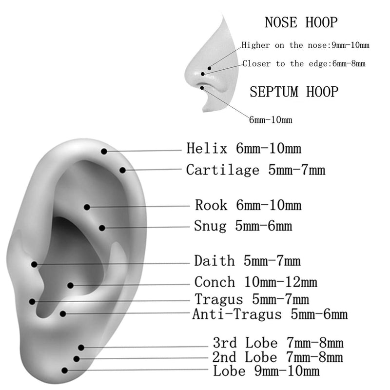 [Australia] - FOLLOWMOON 316L Surgical Steel Nose Rings Hoop Septum Clicker Hinged Segment Ring Lip Ear Piercing Earrings for Cartilage Helix Tragus Conch Rook 20g 18g 16g 14g 12g 10g 8g,Inner Diameter 5mm to 22mm 1pc,Black,14g,Diameter:11mm 