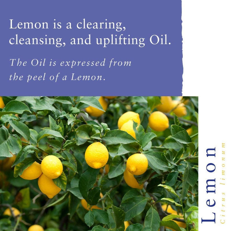 [Australia] - Absolute Aromas Lemon 10ml (citrus limonum) Essential Oil - 100% Pure, Natural, Undiluted, Vegan and Cruelty-Free - For use in Diffusers and Aromatherapy Blends 