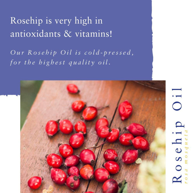 [Australia] - Absolute Aromas Rosehip Oil 50ml - Pure, Natural, Cold-Pressed, Vegan and Cruelty Free – Nourishing and Rejuvenating Moisturising Oil Rose 50 ml (Pack of 1) 