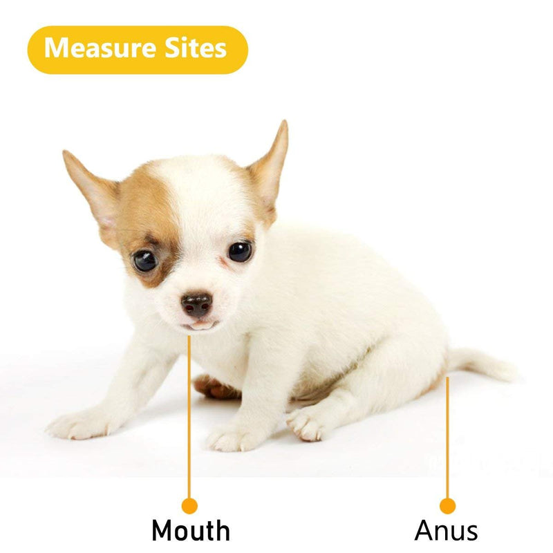 [Australia] - Animal Electronic Ehermometer Pet Thermometer Digital Thermometer is a Fast Rectal Thermometer for Dogs,Horse, Cats, Pigs,Sheep 
