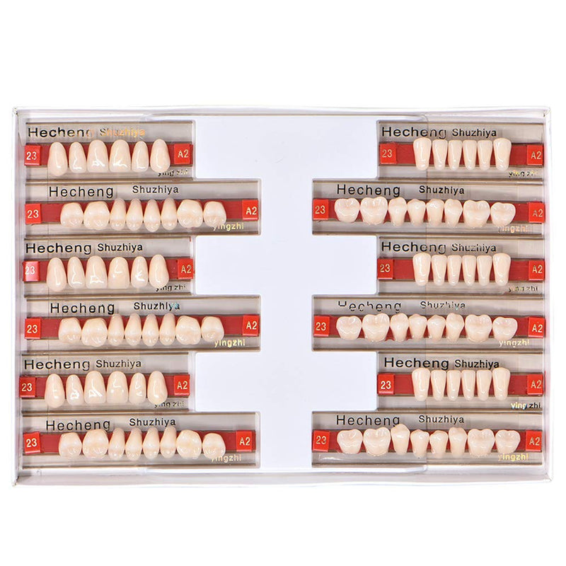 [Australia] - Angzhili 84 Pcs Dental Acrylic Resin Denture False Teeth 3 Sets Synthetic Polymer Resin Denture Teeth 23 Shade A2 Upper + Lower Dental Materials 